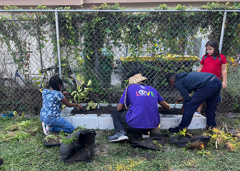 Earth 2 Table Gardening